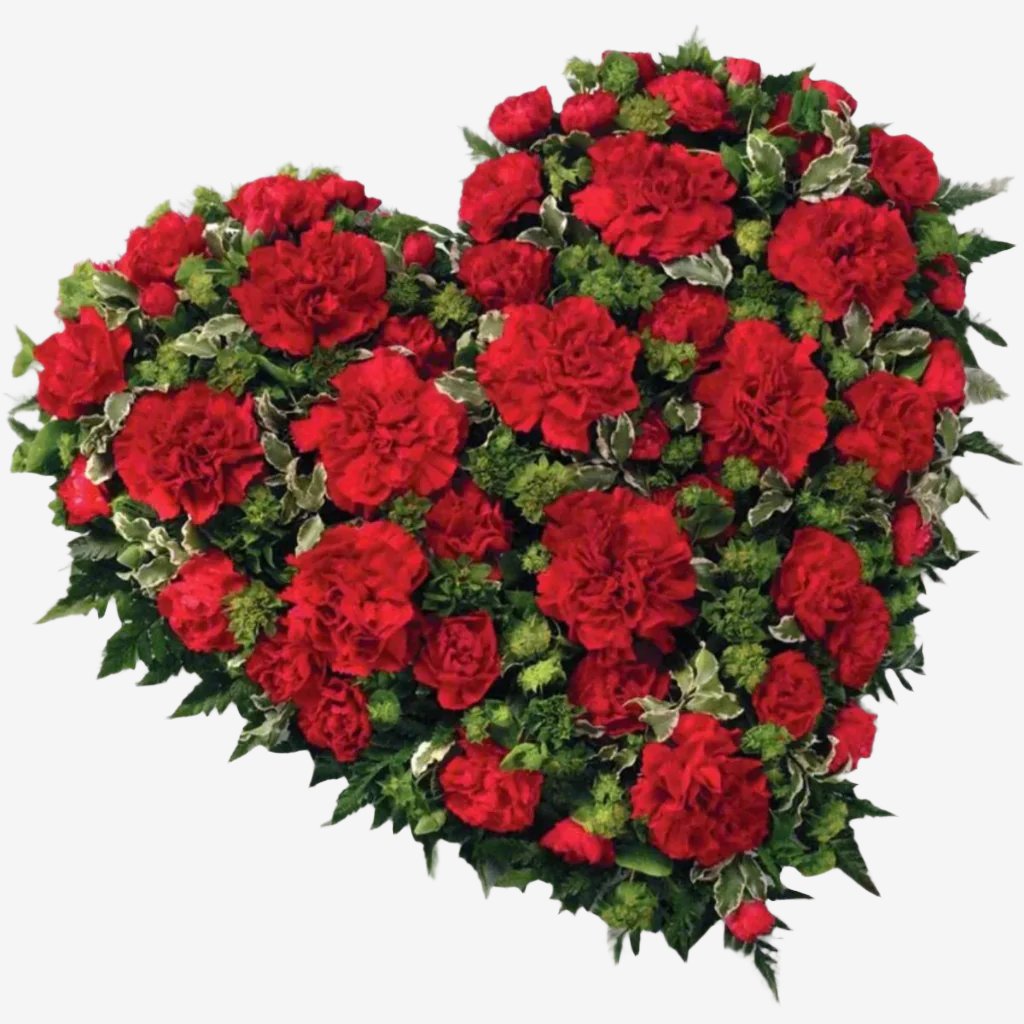 Carnation Heart - Magnolia the Florist A traditional 15" heart-shaped design including Carnations and Spray Carnations complemented by luxury foliage. The image shows the colours in Red, although other colour options are available. Please select your colour option below. If you cannot find what you want on our site, please call our sales team, we're always happy to assist you This item requires 2 days notice to order.