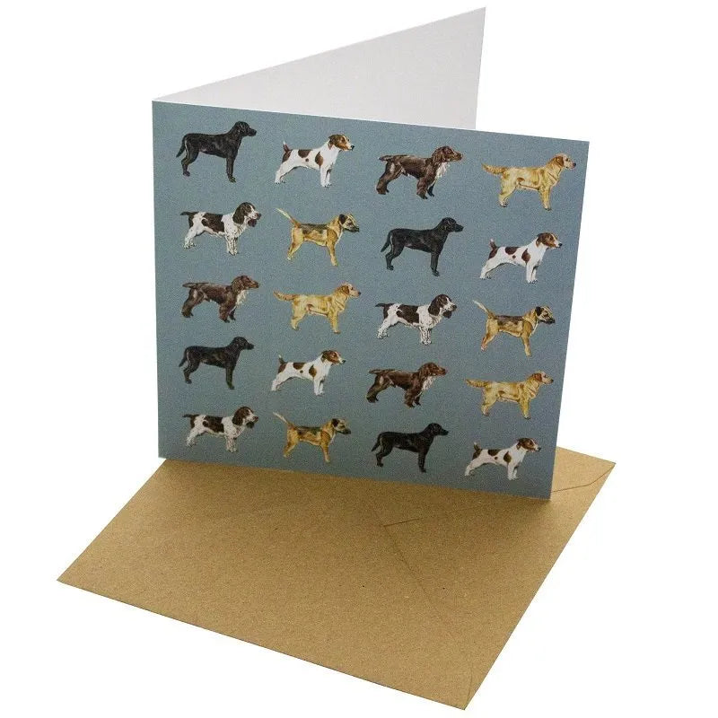 Blue Dogs Greetings Card - Magnolia the Florist Gift your loved ones a beautiful Blue Dog Breeds Greetings Card that will make any occasion special. This 148mm square card is made with a sustainable, 100% recycled unbleached 350gsm paper. The featured feather design with a blank interior for a personal message makes it a perfect choice for any special day.