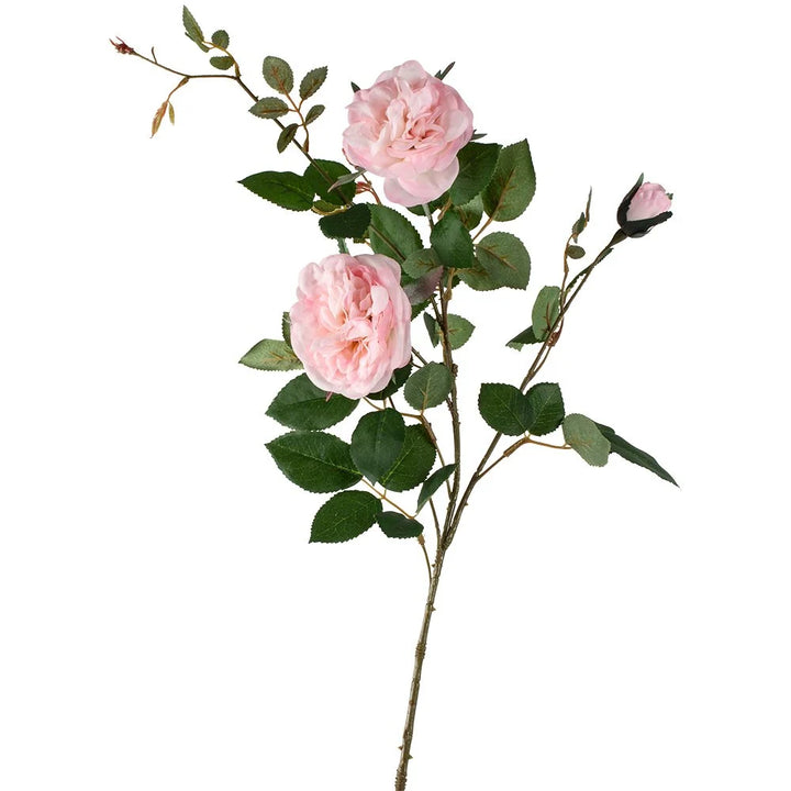 Spray Rose Light Pink 90cm - Magnolia the Florist