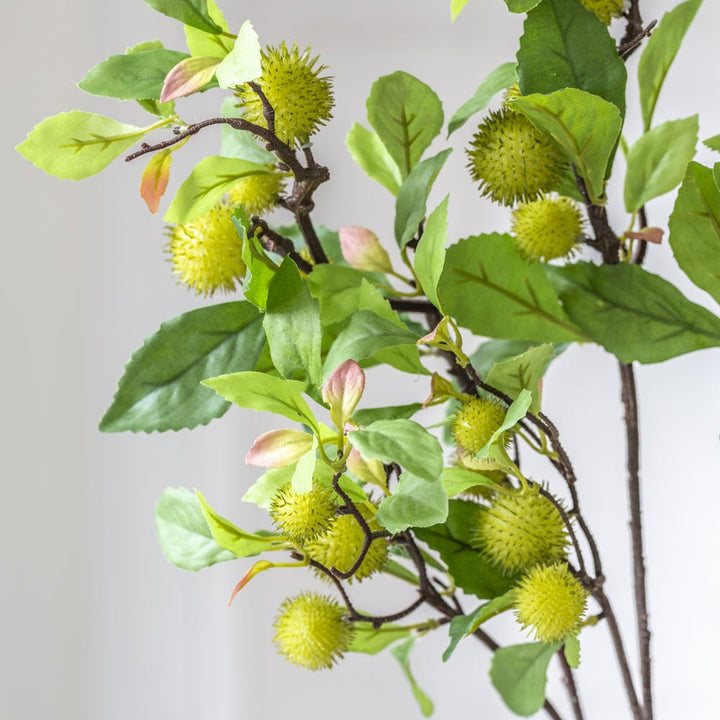 Chestnut Branch 78cm - Magnolia the Florist This rugged, dark, Chestnut branch instantly adds a naturalistic feel to a display. With the stems gathered or singularly in a vase the spikey green nuts add texture with the lush, serrated leaves add volume. Art lovers Chestnut fact: Blossoming Chestnut Branches was painted by Vincent Van Gough during the artist’s Auvers-Sur-Oise period in May 1890, the final year of his life.