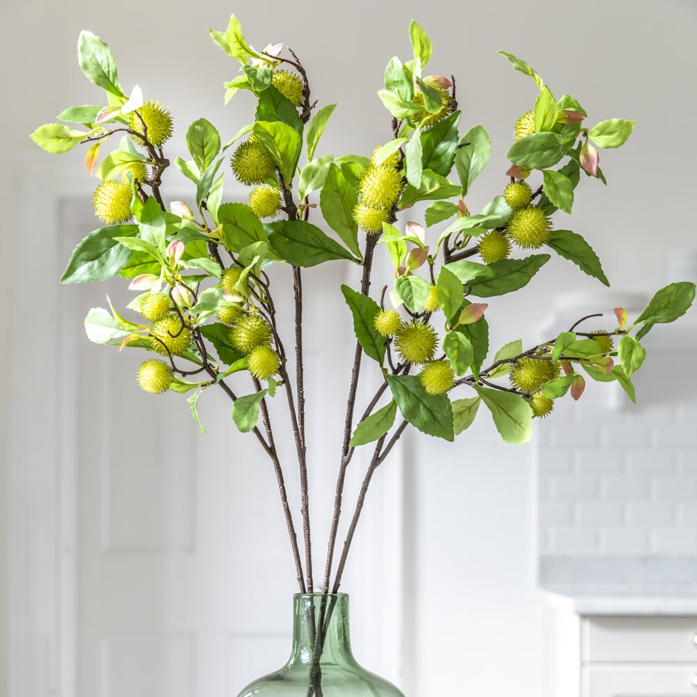 Chestnut Branch 78cm - Magnolia the Florist This rugged, dark, Chestnut branch instantly adds a naturalistic feel to a display. With the stems gathered or singularly in a vase the spikey green nuts add texture with the lush, serrated leaves add volume. Art lovers Chestnut fact: Blossoming Chestnut Branches was painted by Vincent Van Gough during the artist’s Auvers-Sur-Oise period in May 1890, the final year of his life.