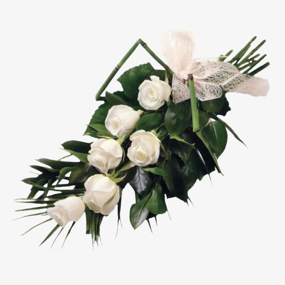 6 Rose Sheaf - Magnolia the Florist 6 large-headed Roses are presented with Fatsia, Palm and Ruscus leaves to create this simple, classic Rose sheaf. The image shows the colour option of White, although other options are available. Please select your colour option below. If you cannot find what you want on our site, please call our sales team, we're always happy to assist you. This item requires 1 day notice to order.